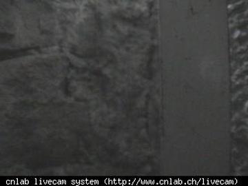Rapperswil-Jona: Rapperswil - Schloss Wetter Swiss Webcams