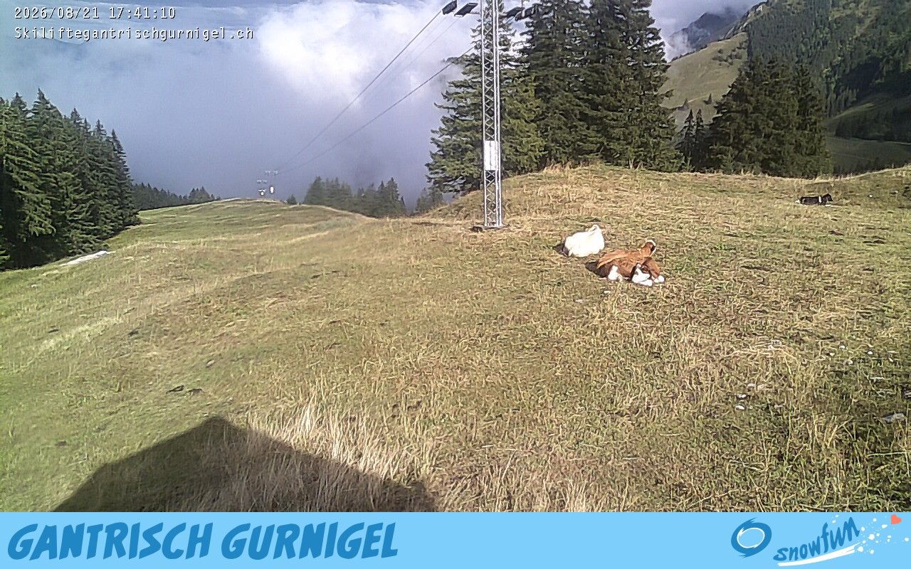 Rüeggisberg › Osten: Gurnigelpass