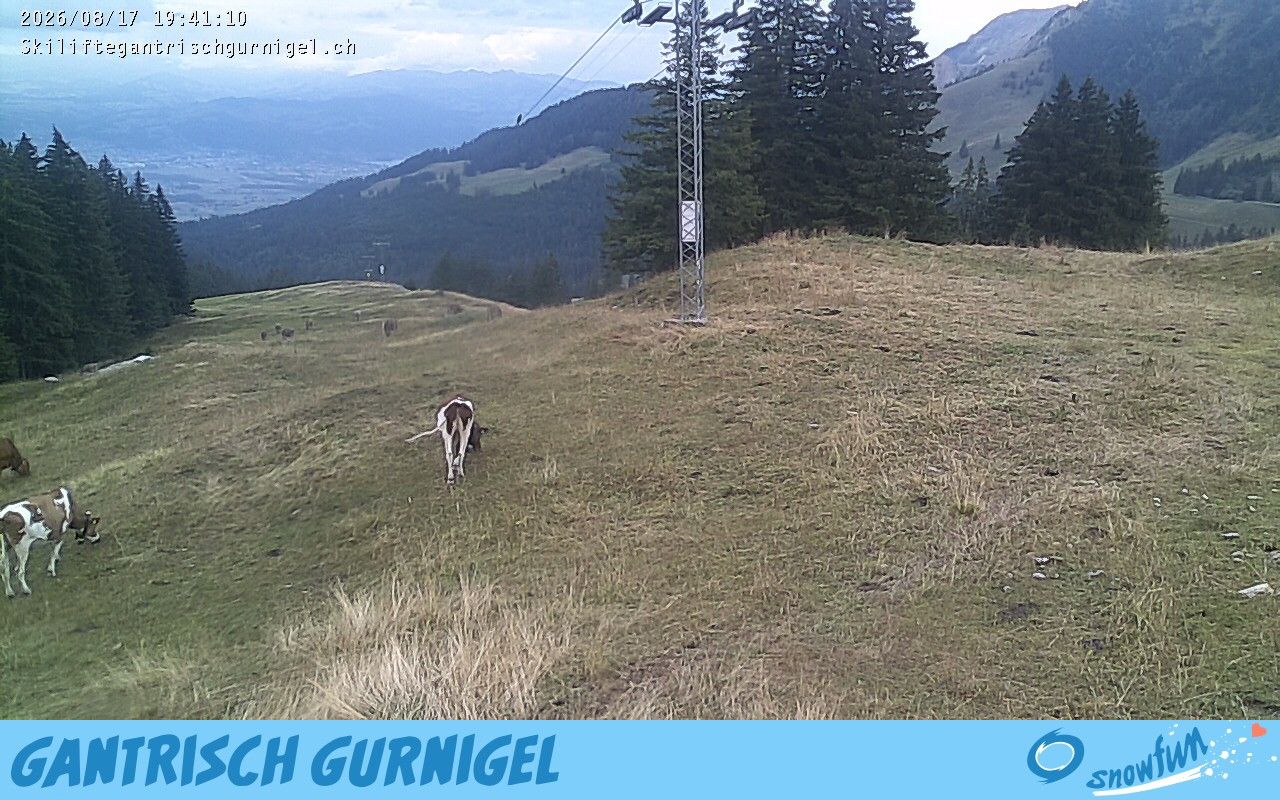 Rüeggisberg › Osten: Gurnigelpass