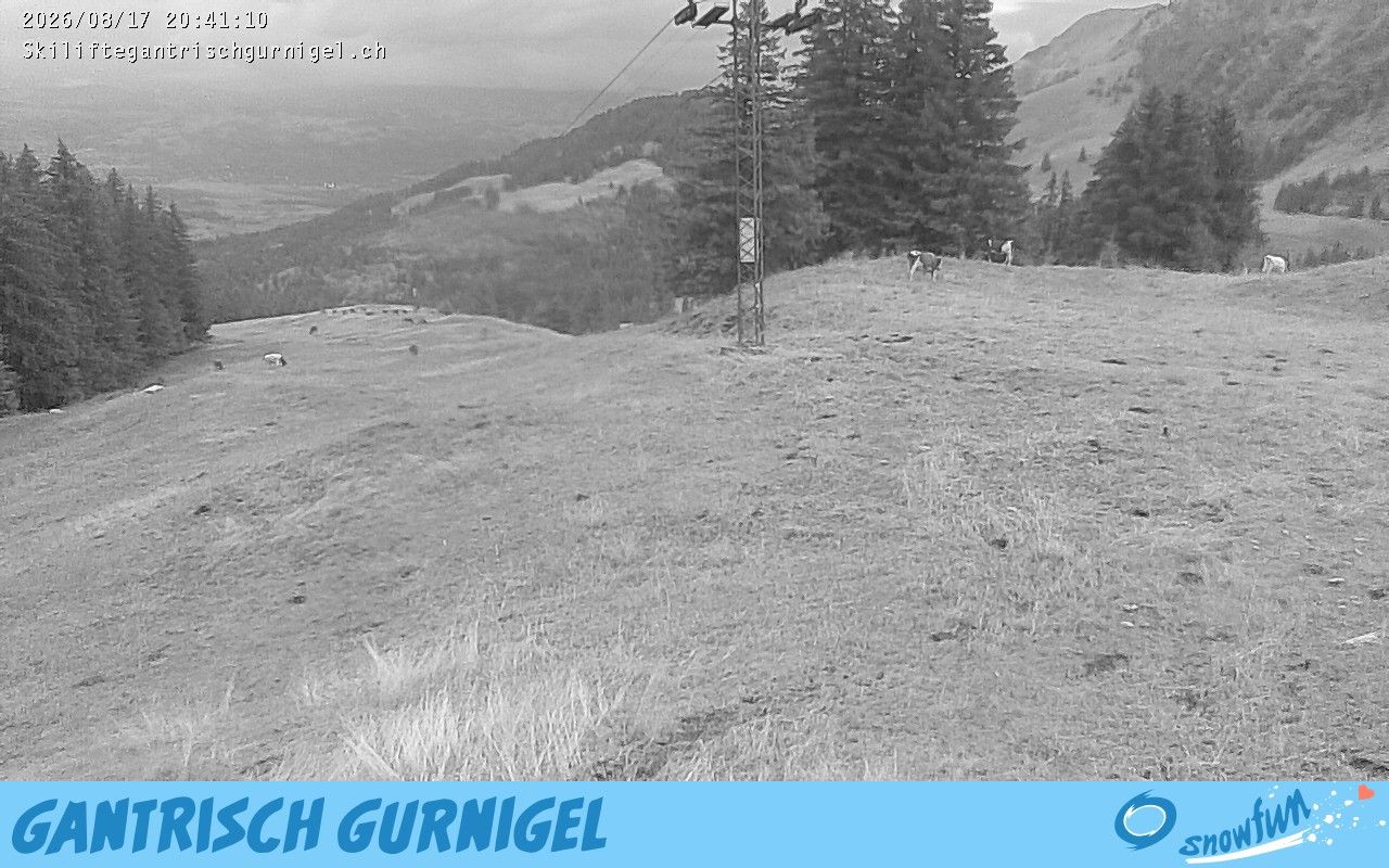 Rüeggisberg › Osten: Gurnigelpass