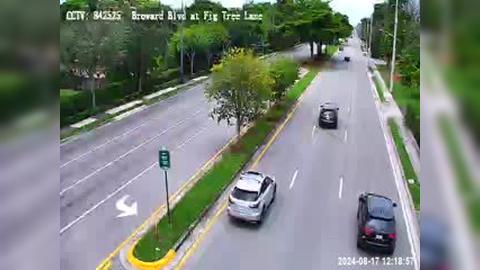 Traffic Cam Plantation: Broward Blvd at Fig Tree Lane