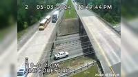 Pine Forest: CCTV-I10-007.0-M - Day time