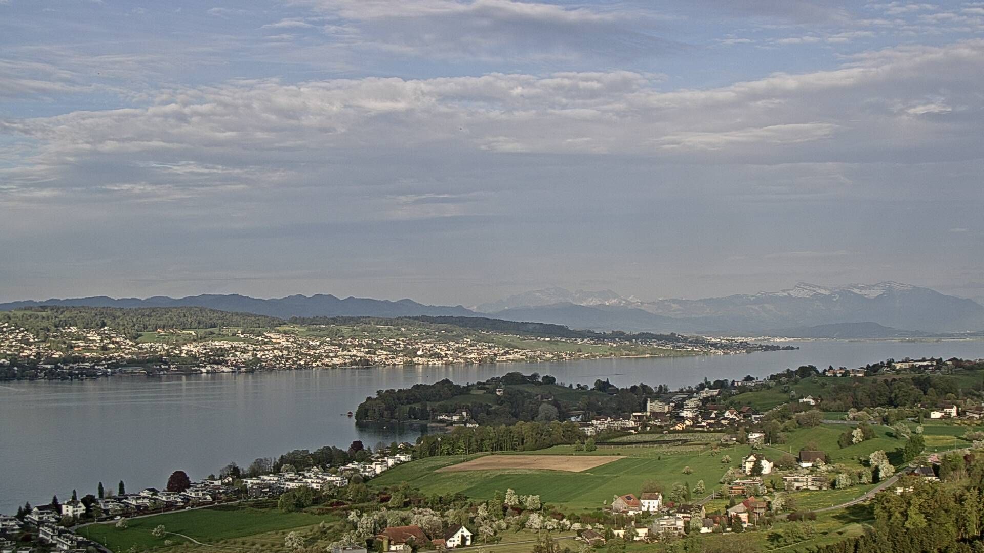 Horgen