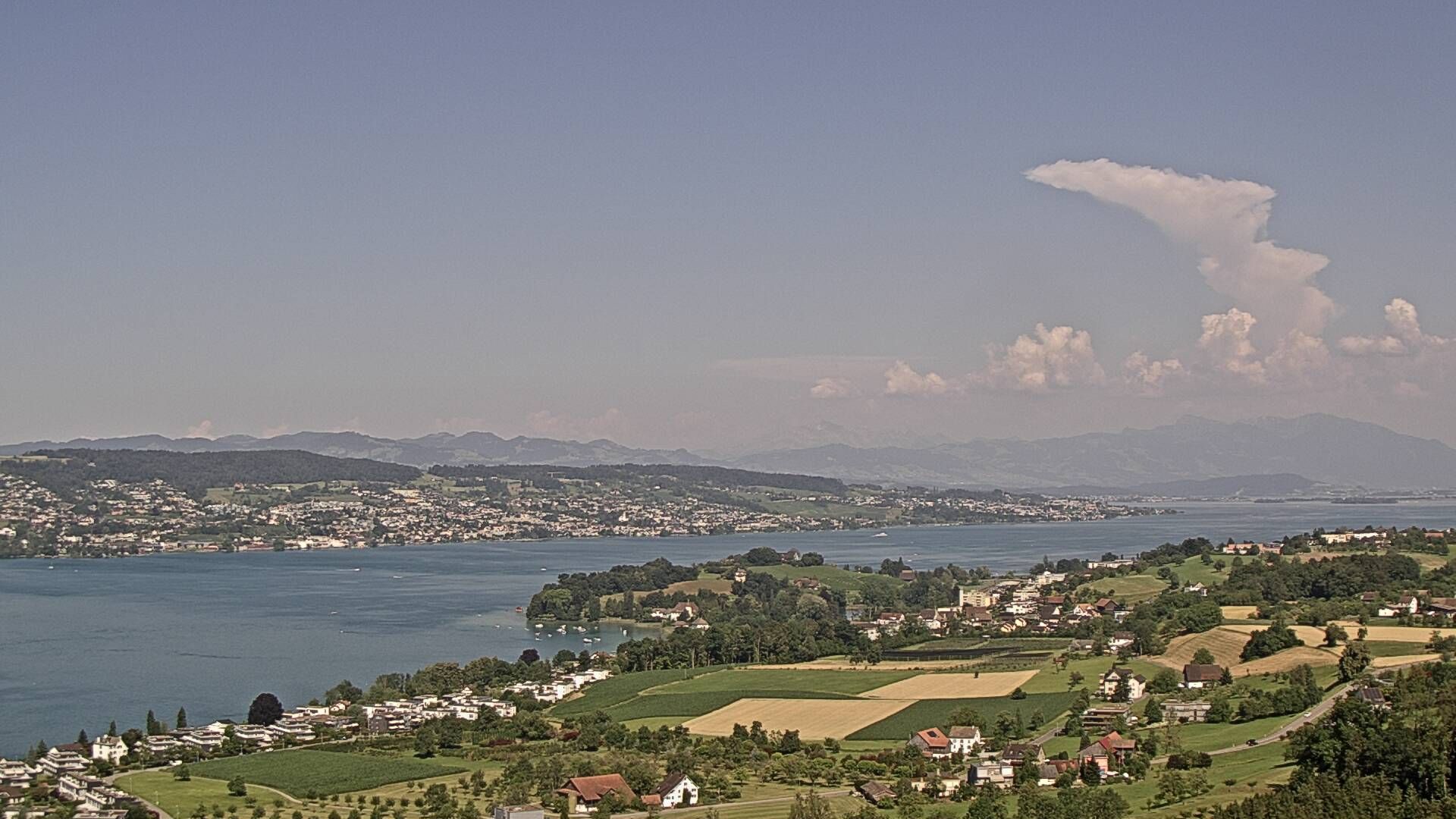 Horgen