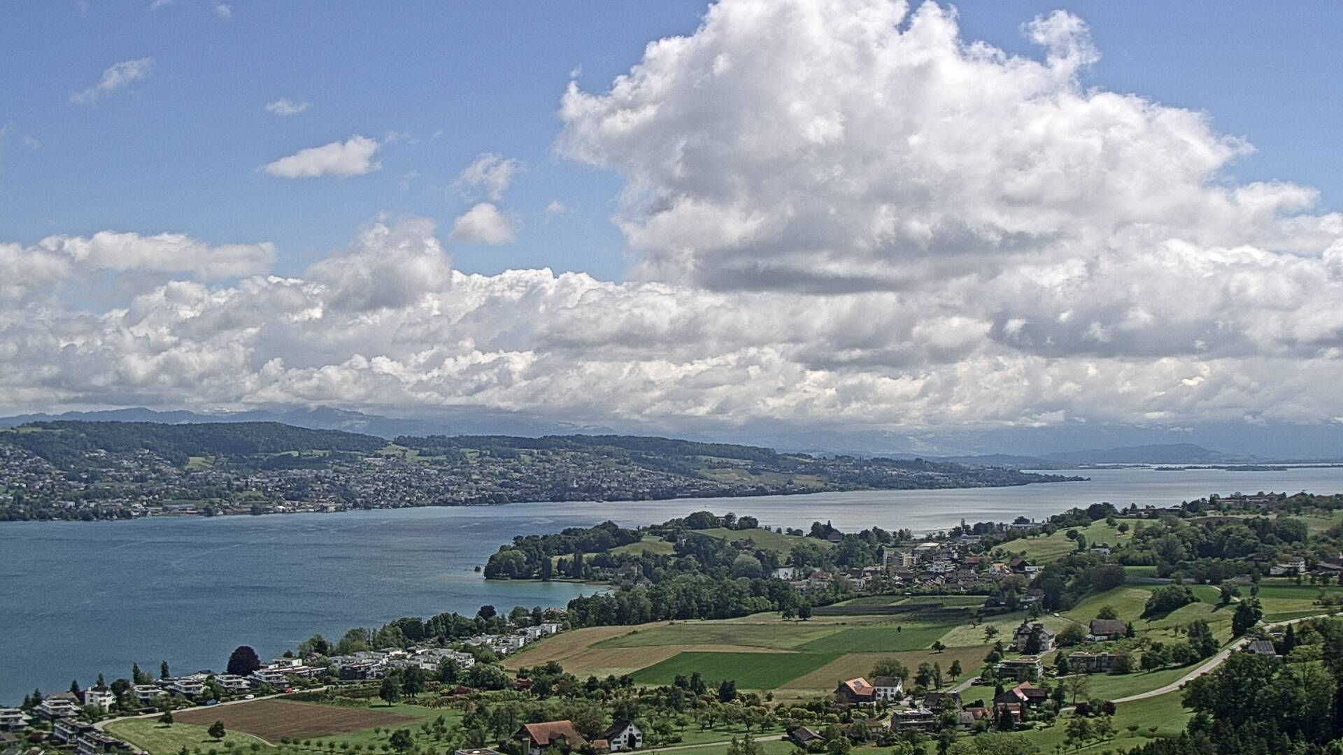 Horgen