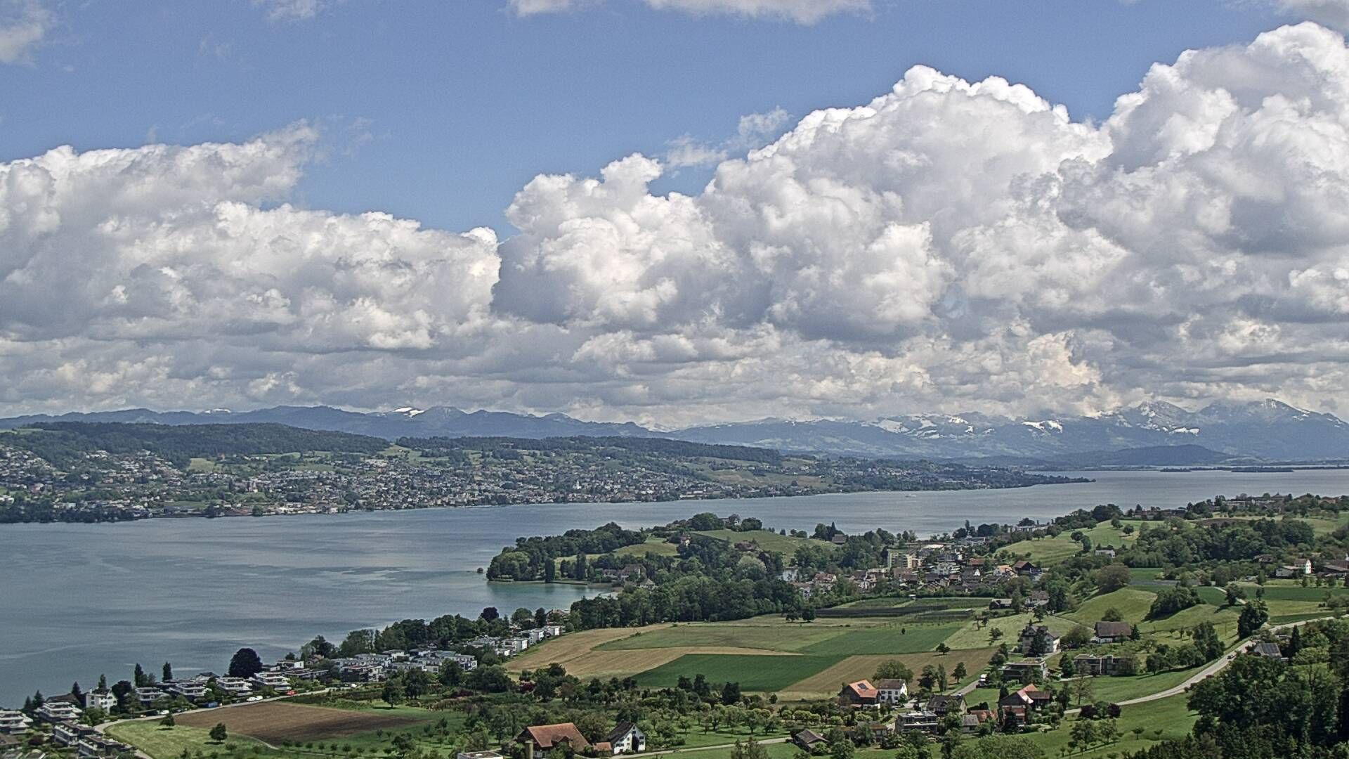 Horgen