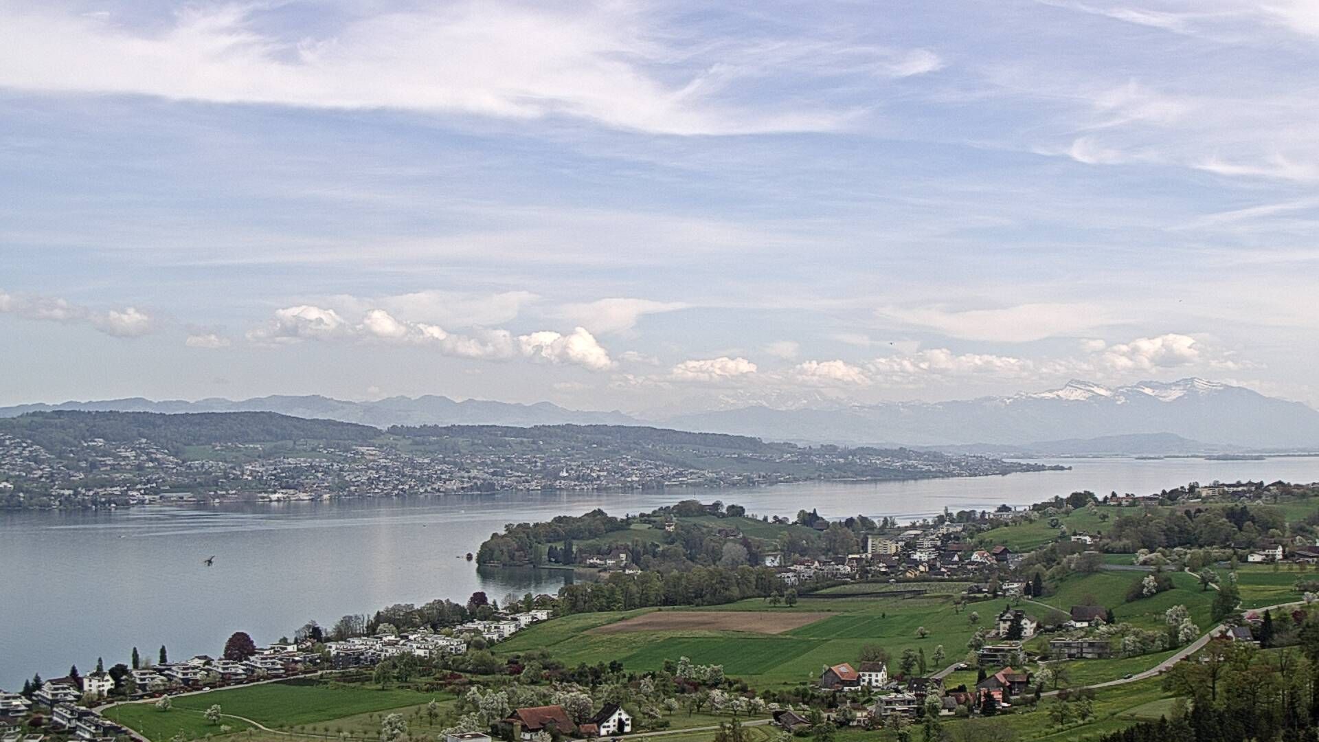 Horgen