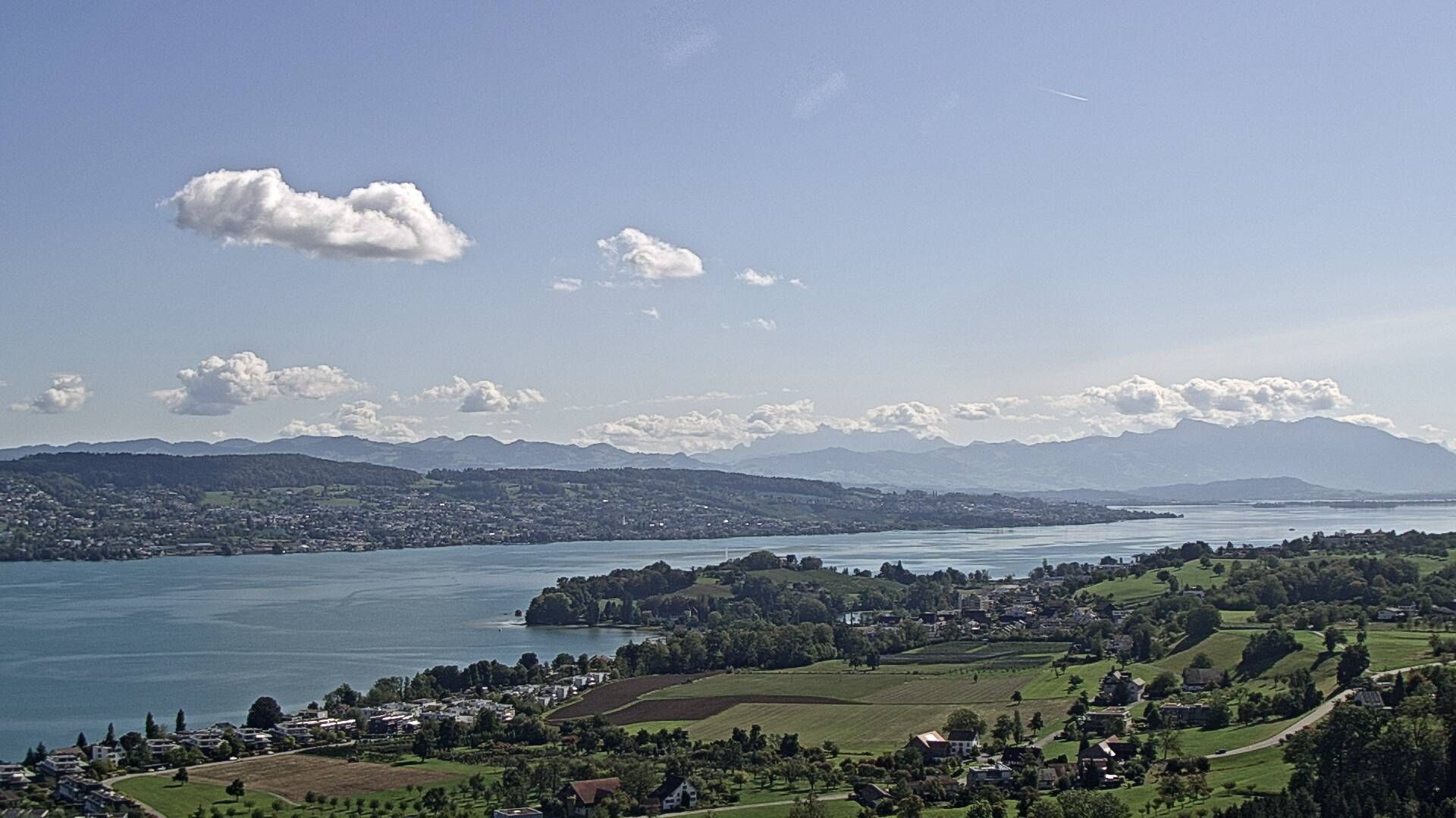 Horgen