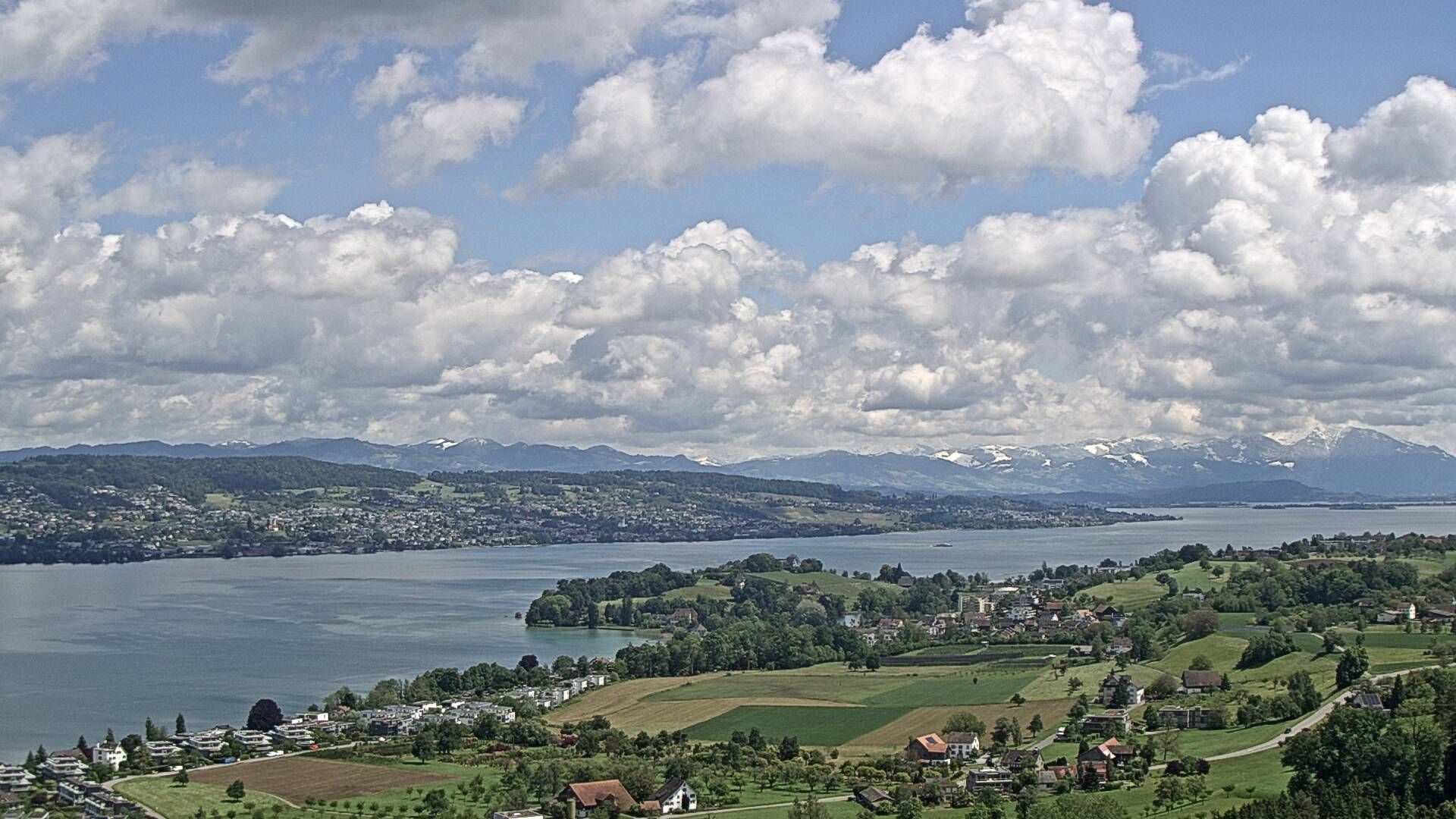 Horgen