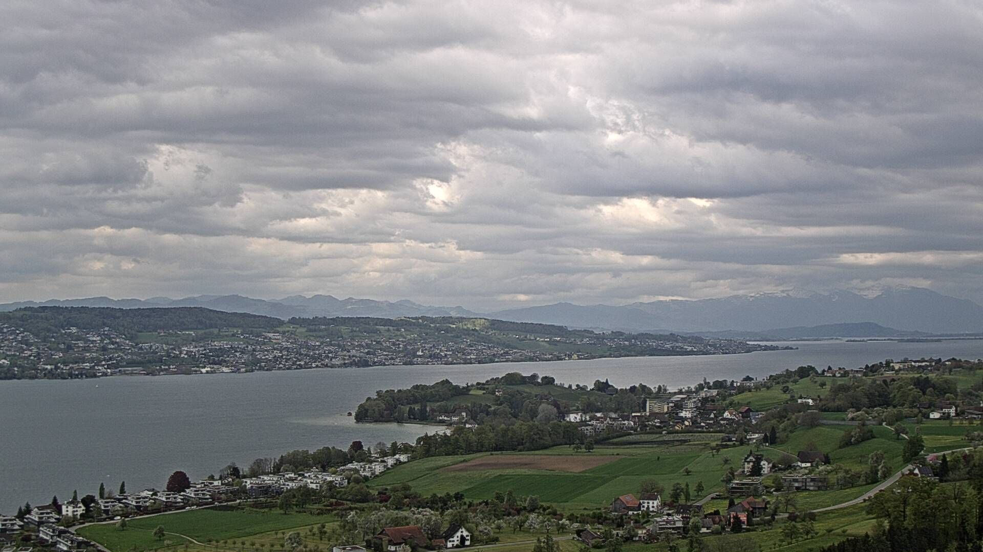Horgen