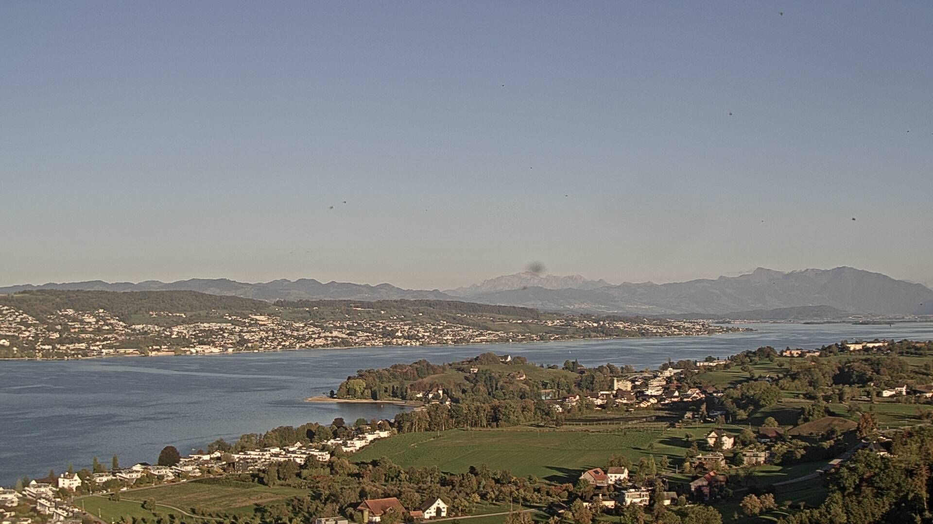 Horgen