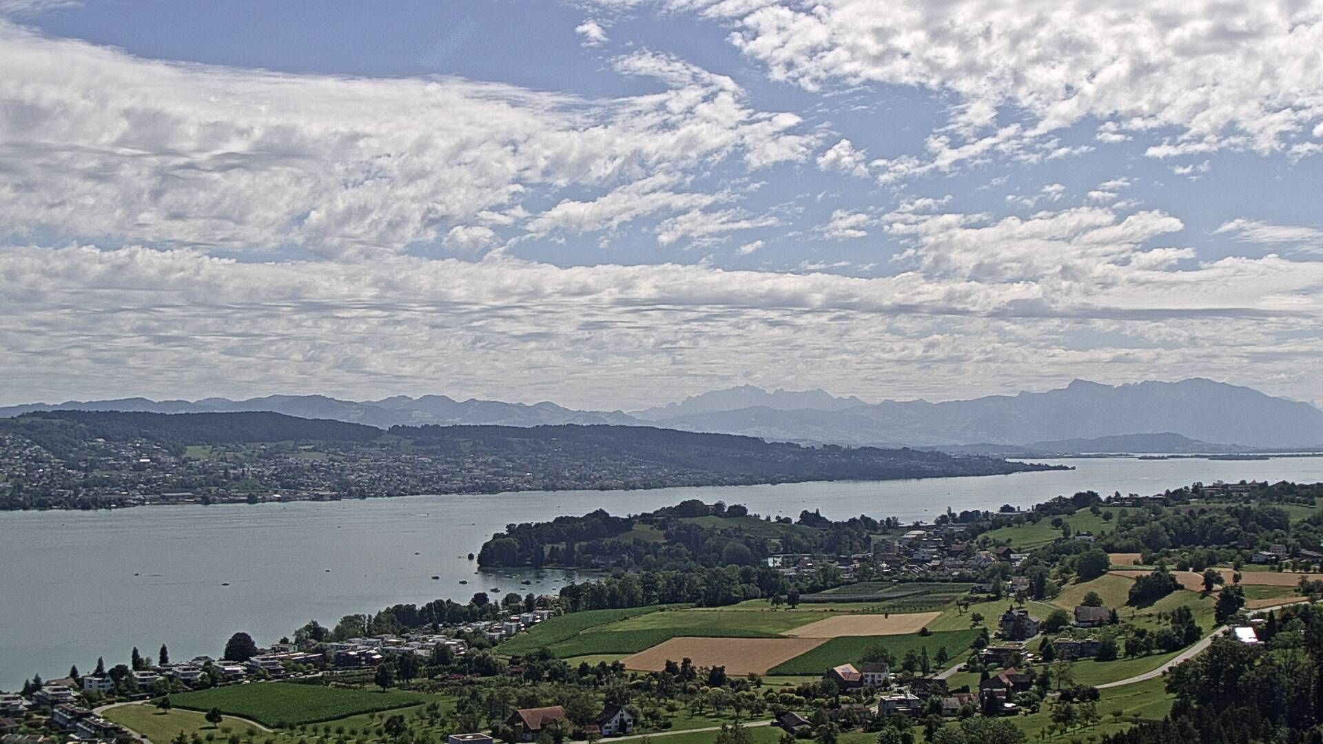 Horgen
