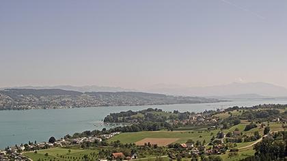 Horgen