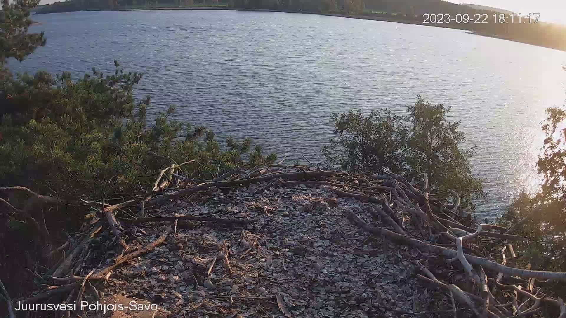 Traffic Cam Kuopio: Juurusvesi - Osprey Live camera