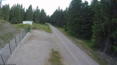 Oberhof forest webcam