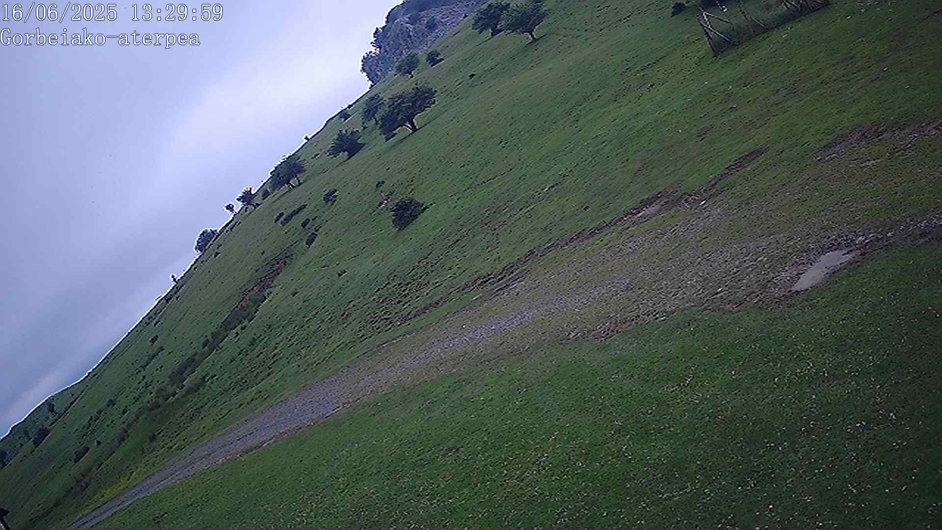 Webcam 9