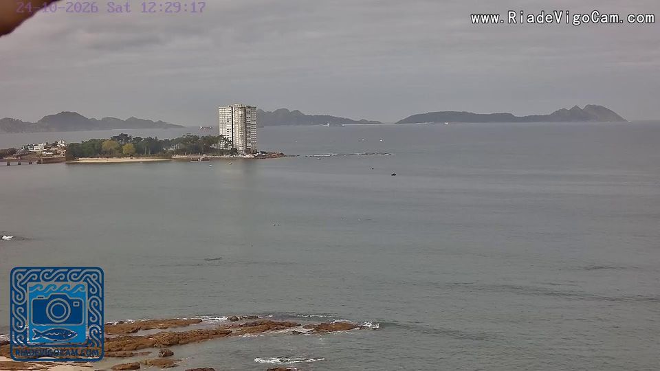 Vigo webcam