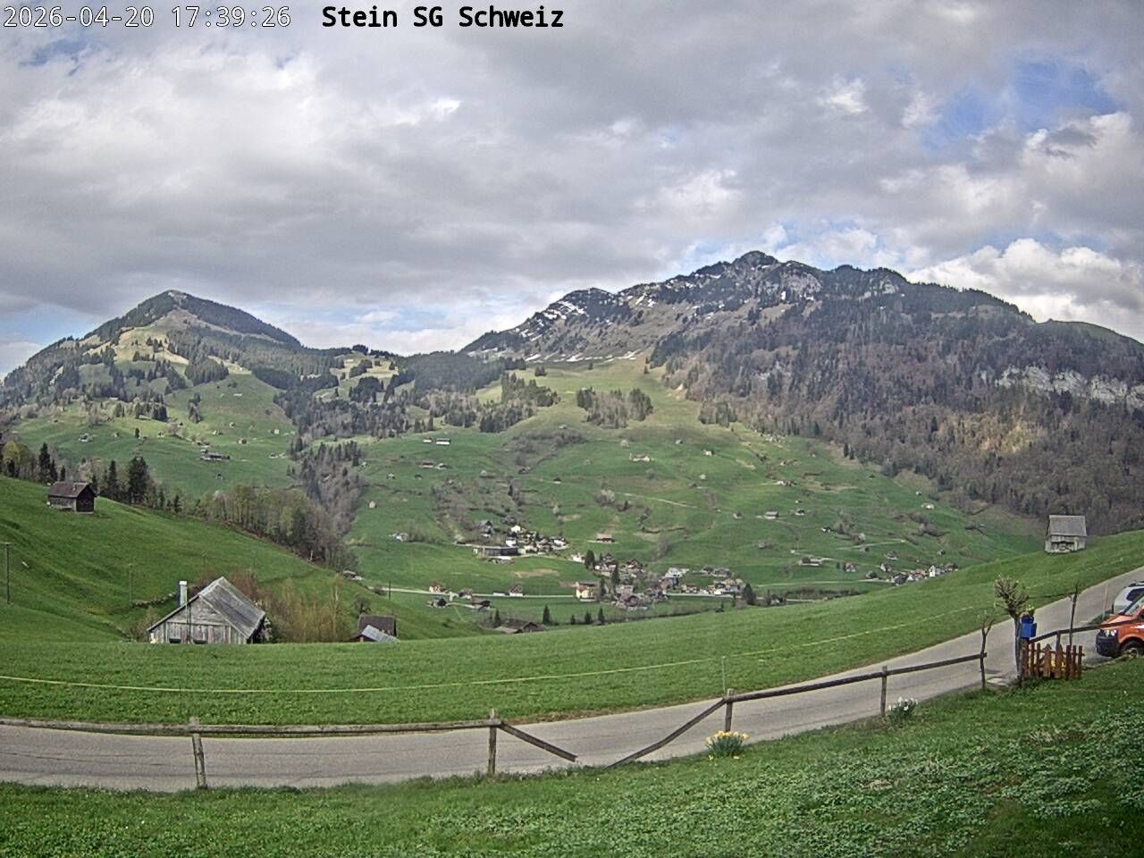 Nesslau: Toggenburg Alpakas 2