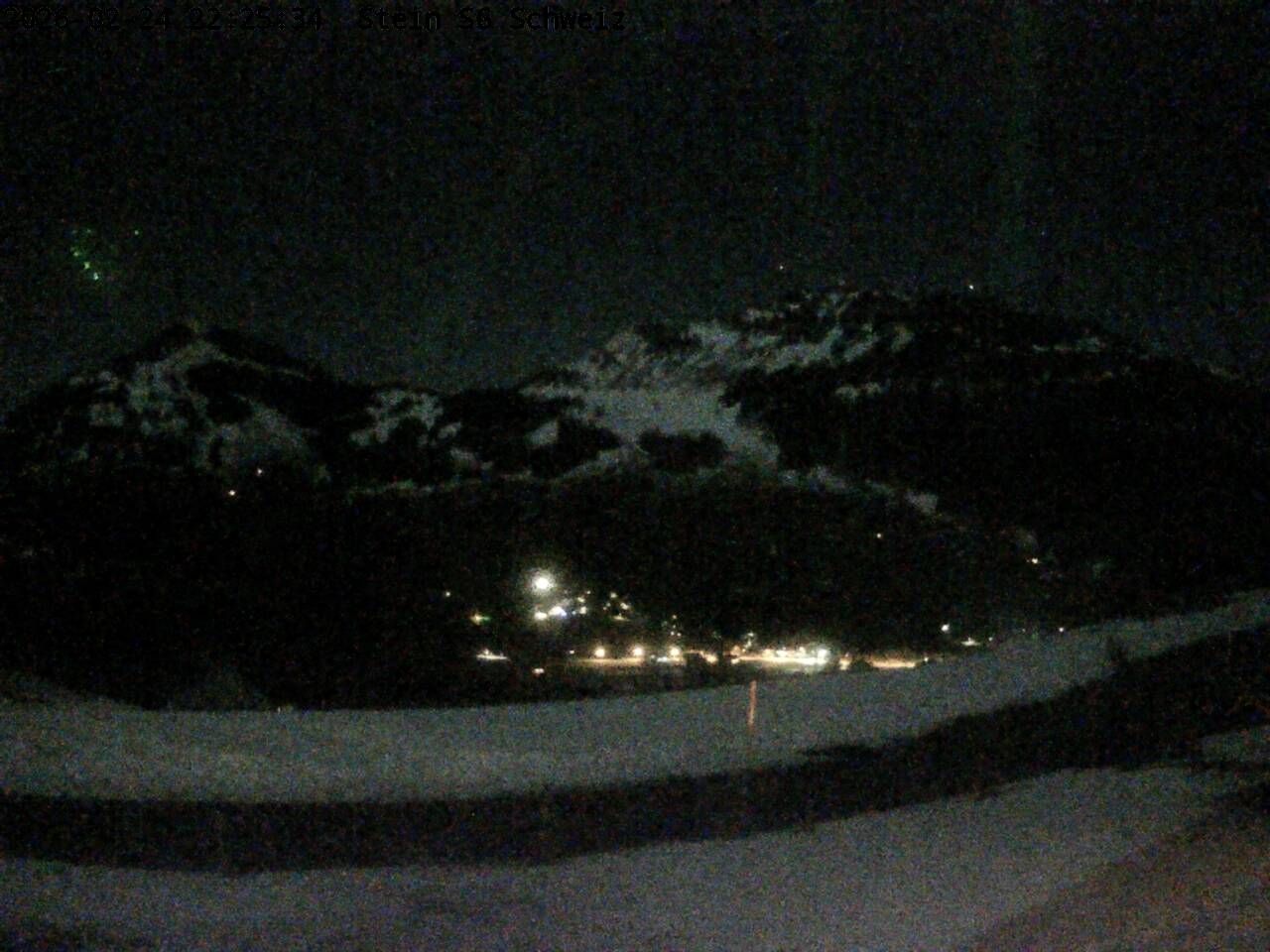 Nesslau: Toggenburg Alpakas 2