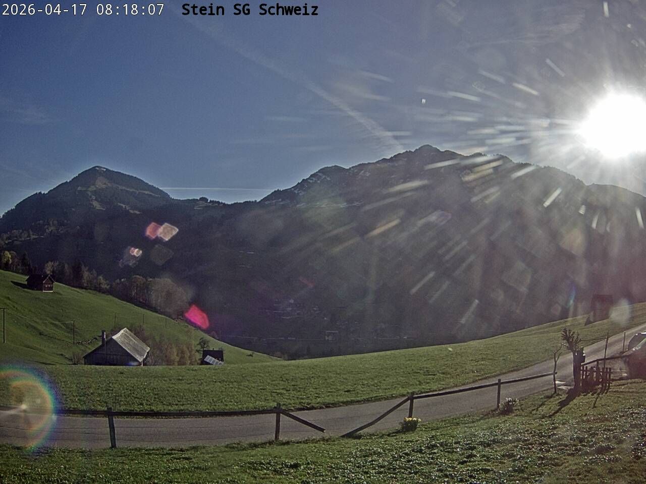 Nesslau: Toggenburg Alpakas 2