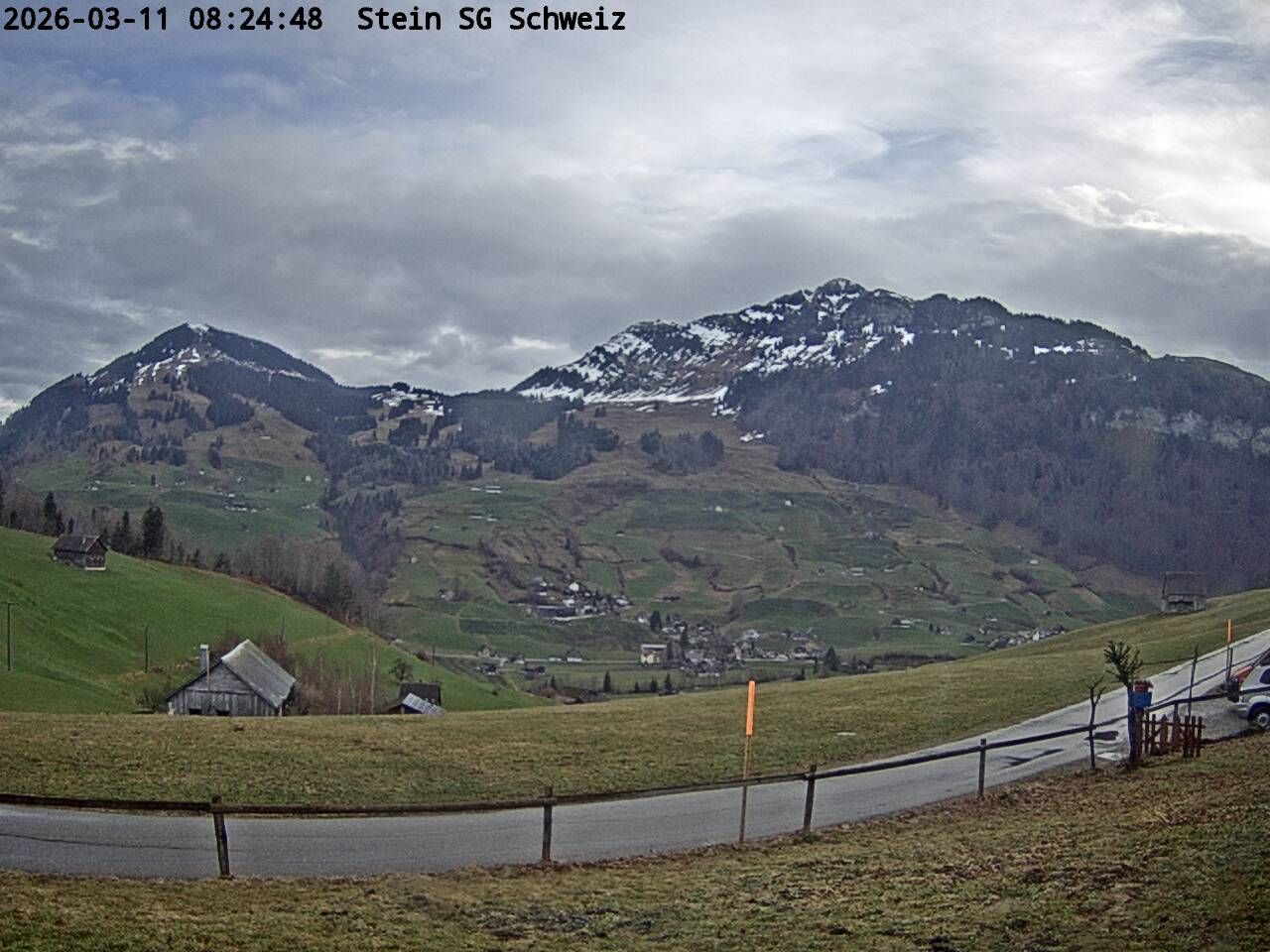 Nesslau: Toggenburg Alpakas 2