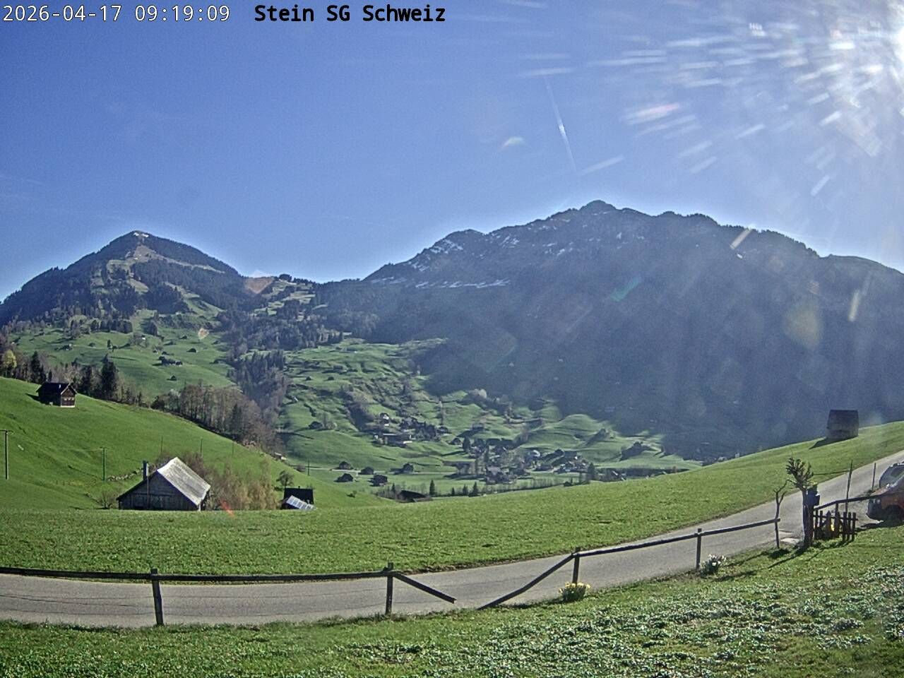 Nesslau: Toggenburg Alpakas 2