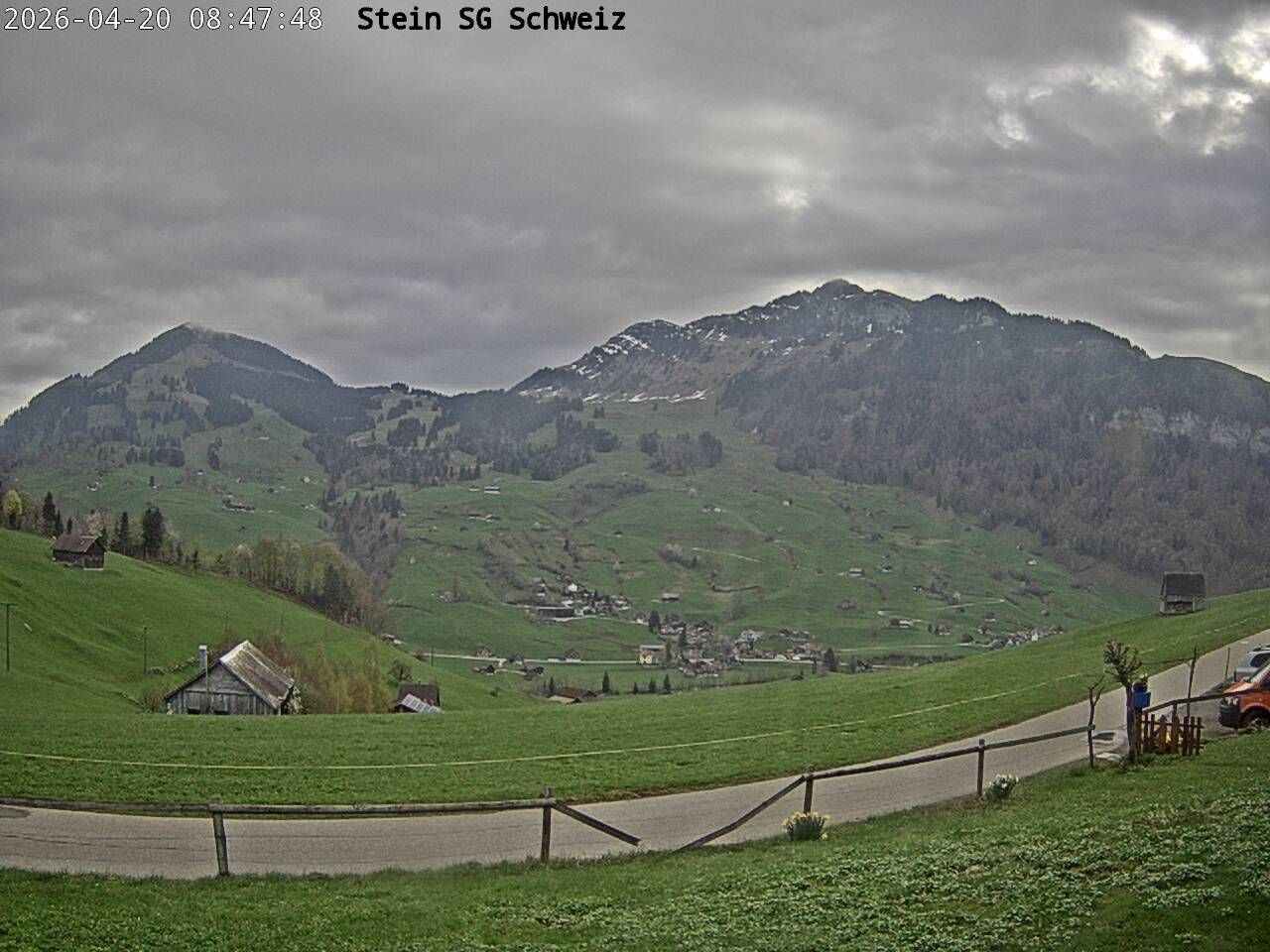 Nesslau: Toggenburg Alpakas 2