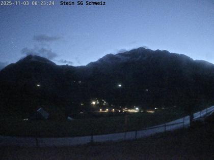 Nesslau: Toggenburg Alpakas 2