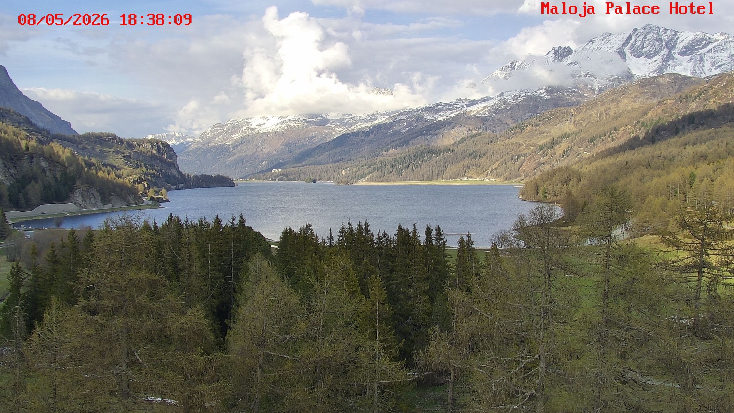 Bregaglia: Maloja webcam