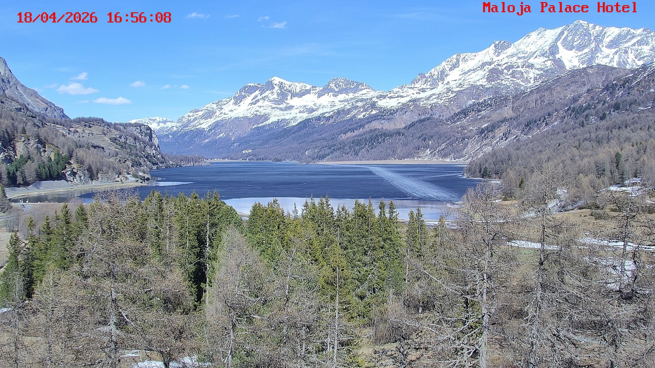 Bregaglia: Maloja webcam