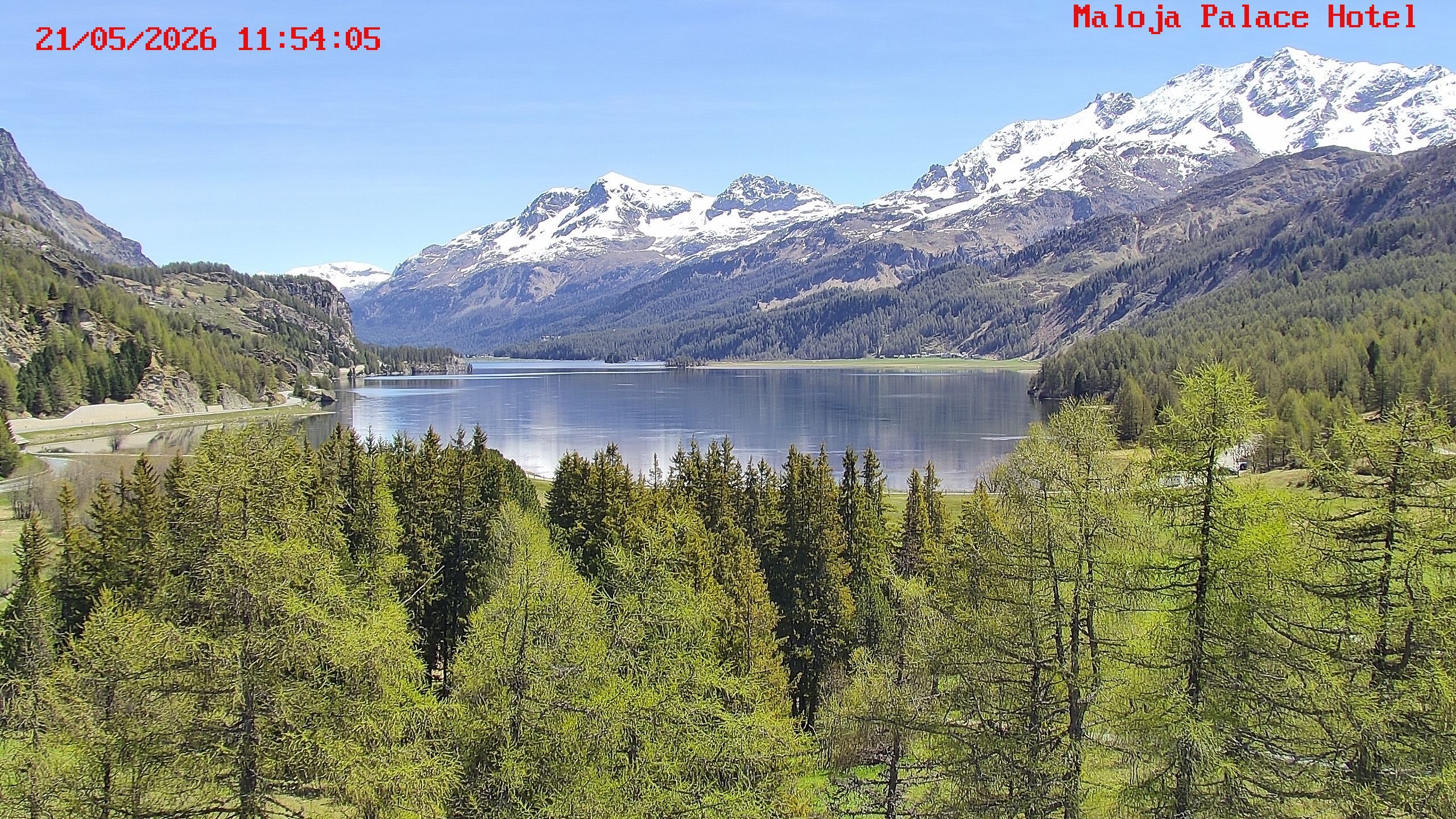 Bregaglia: Maloja webcam