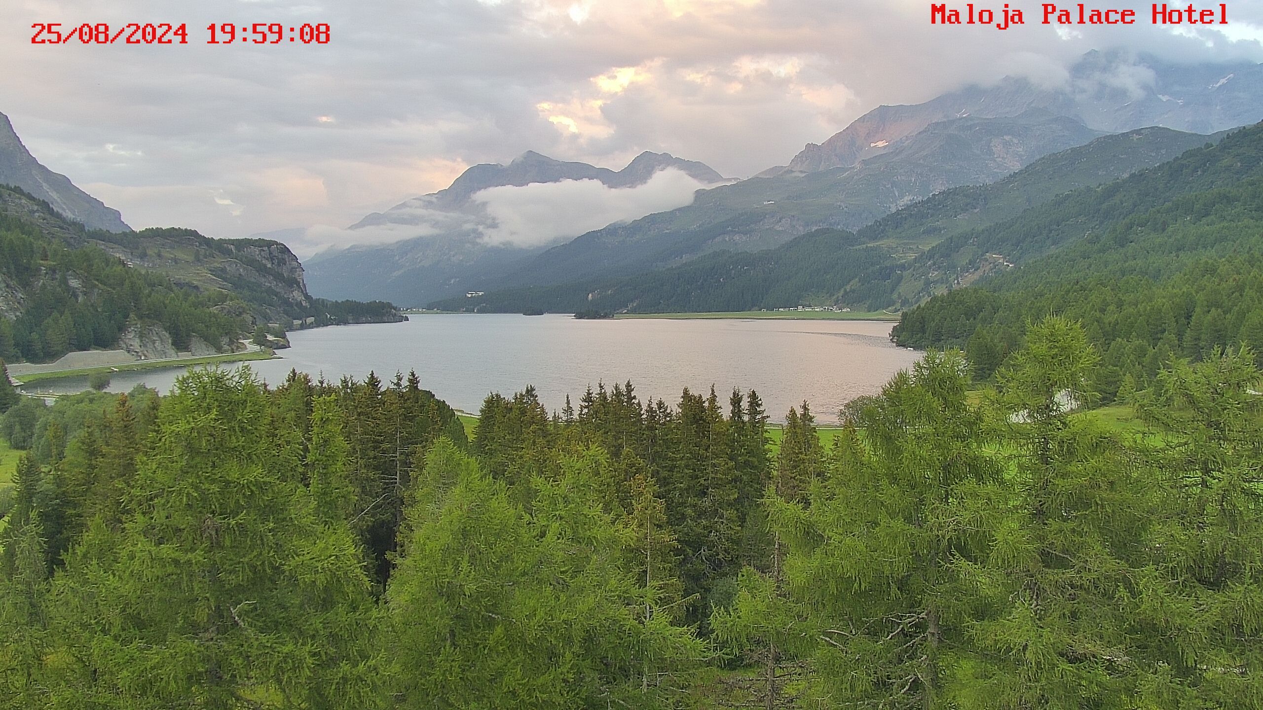 Bregaglia: Maloja webcam