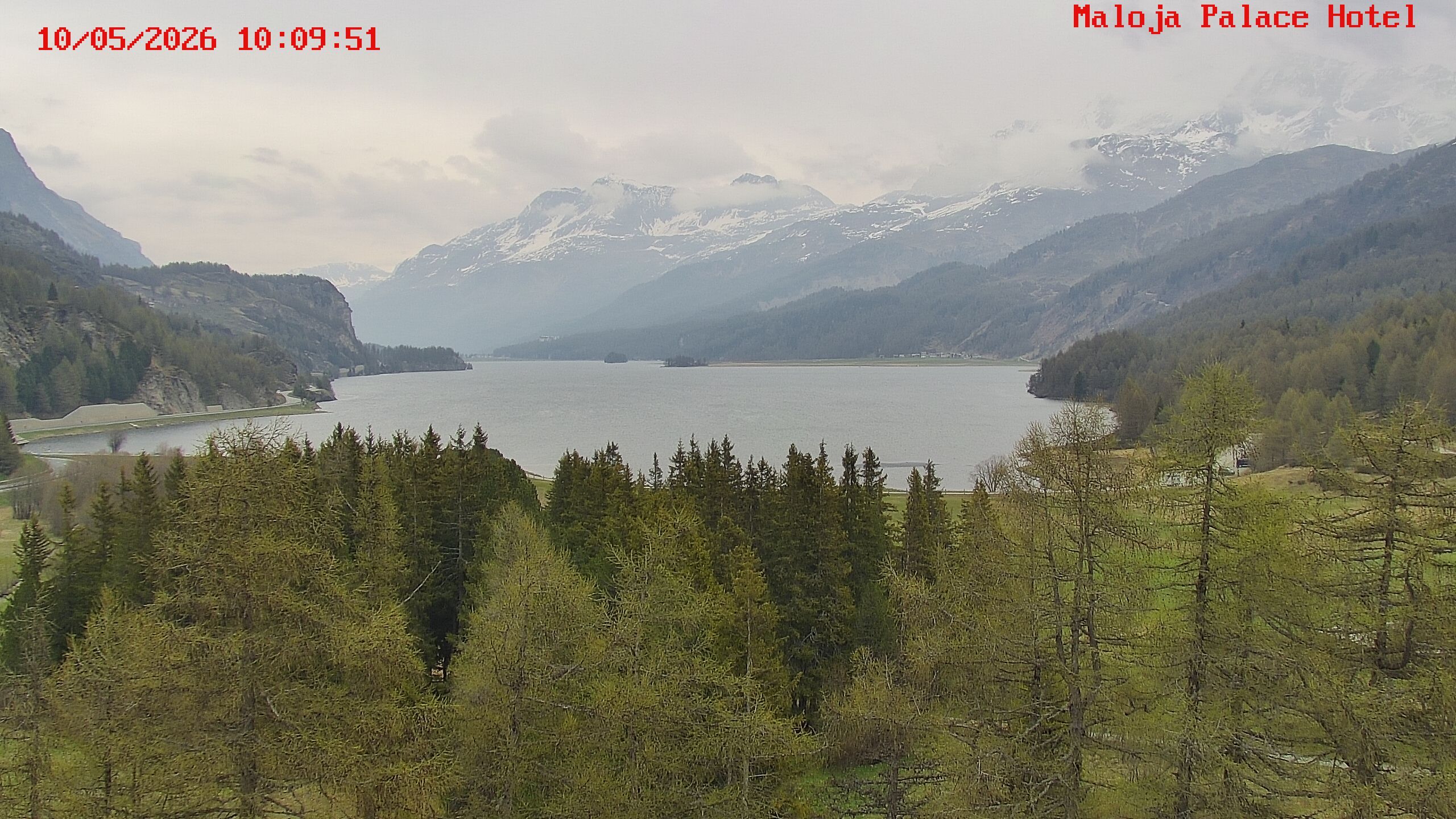 Bregaglia: Maloja webcam