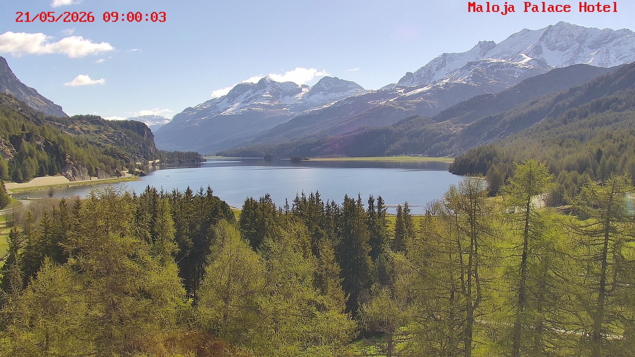 Bregaglia: Maloja webcam