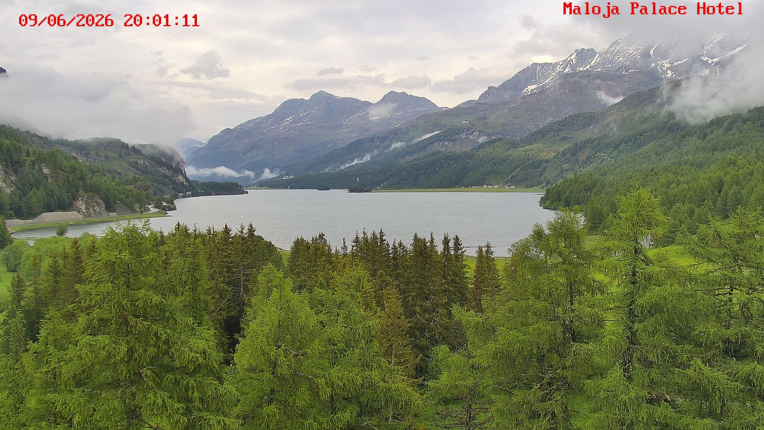 Bregaglia: Maloja webcam