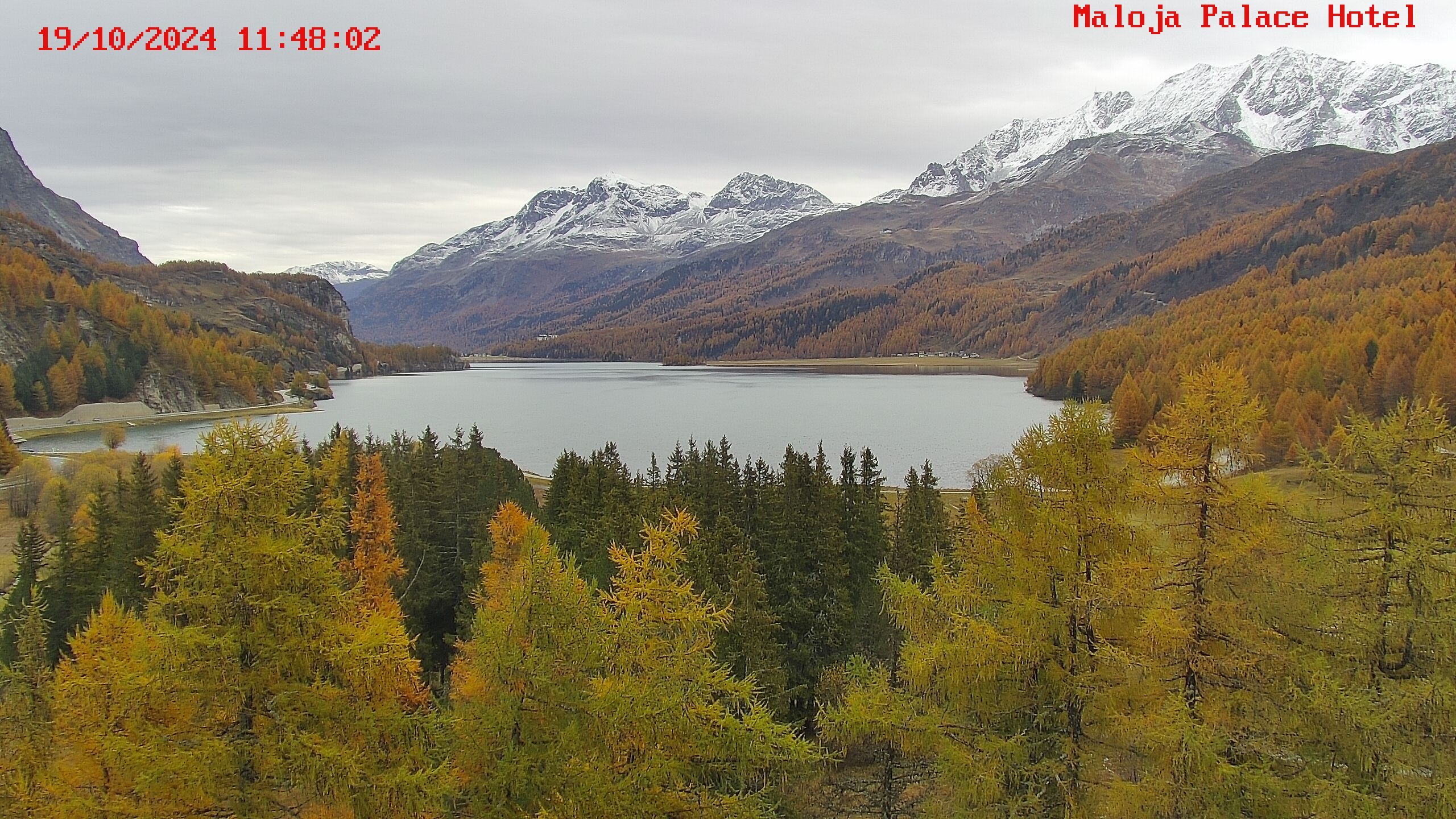 Bregaglia: Maloja webcam