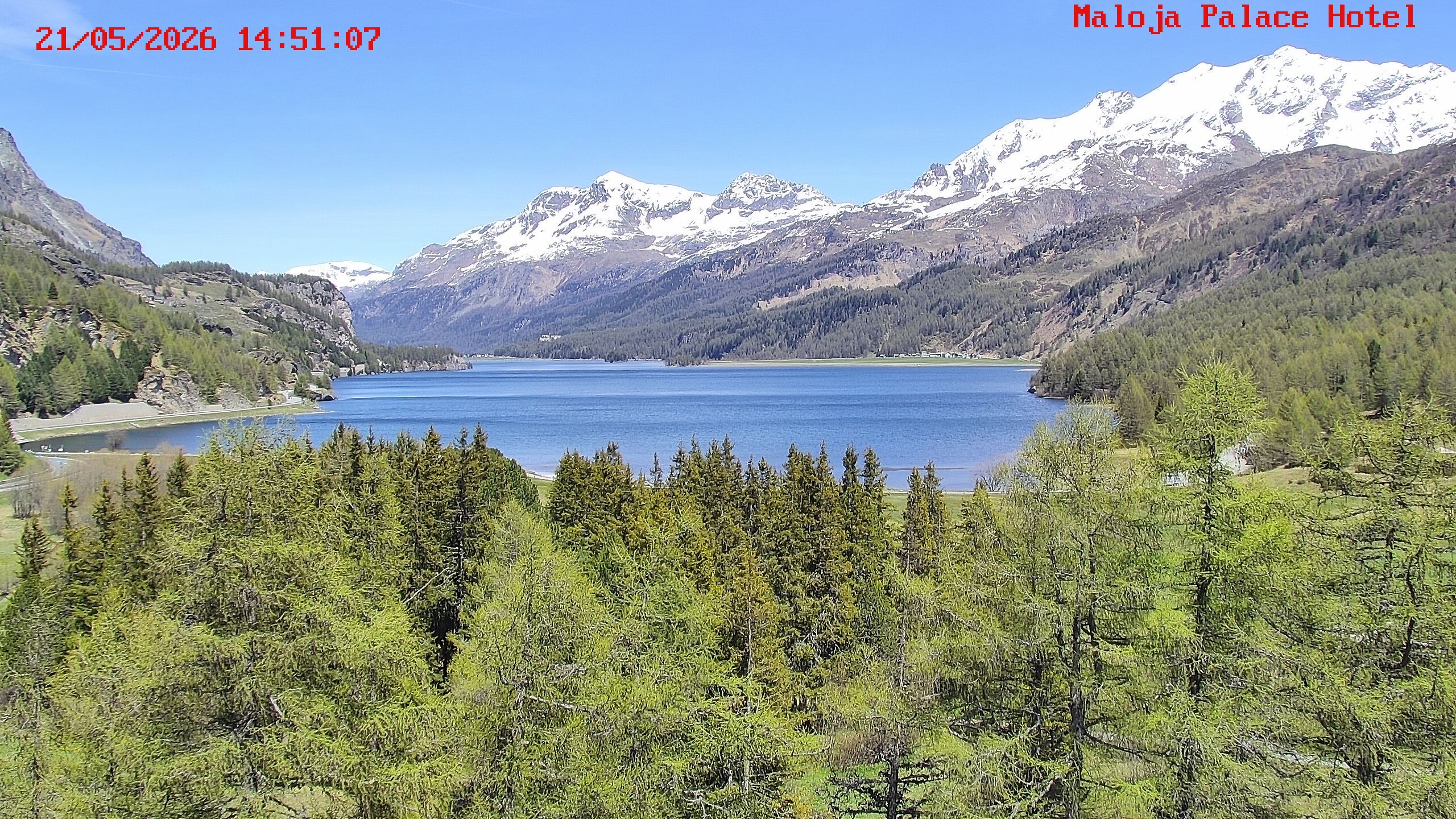 Bregaglia: Maloja webcam