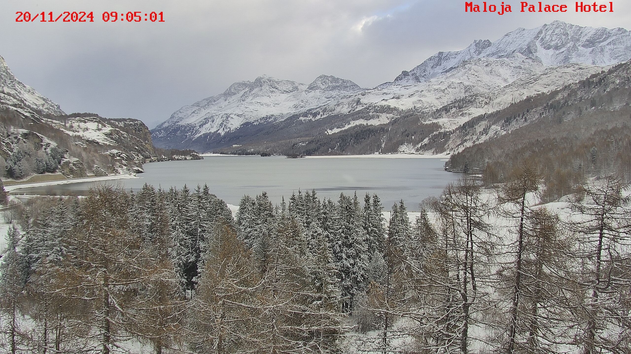 Bregaglia: Maloja webcam