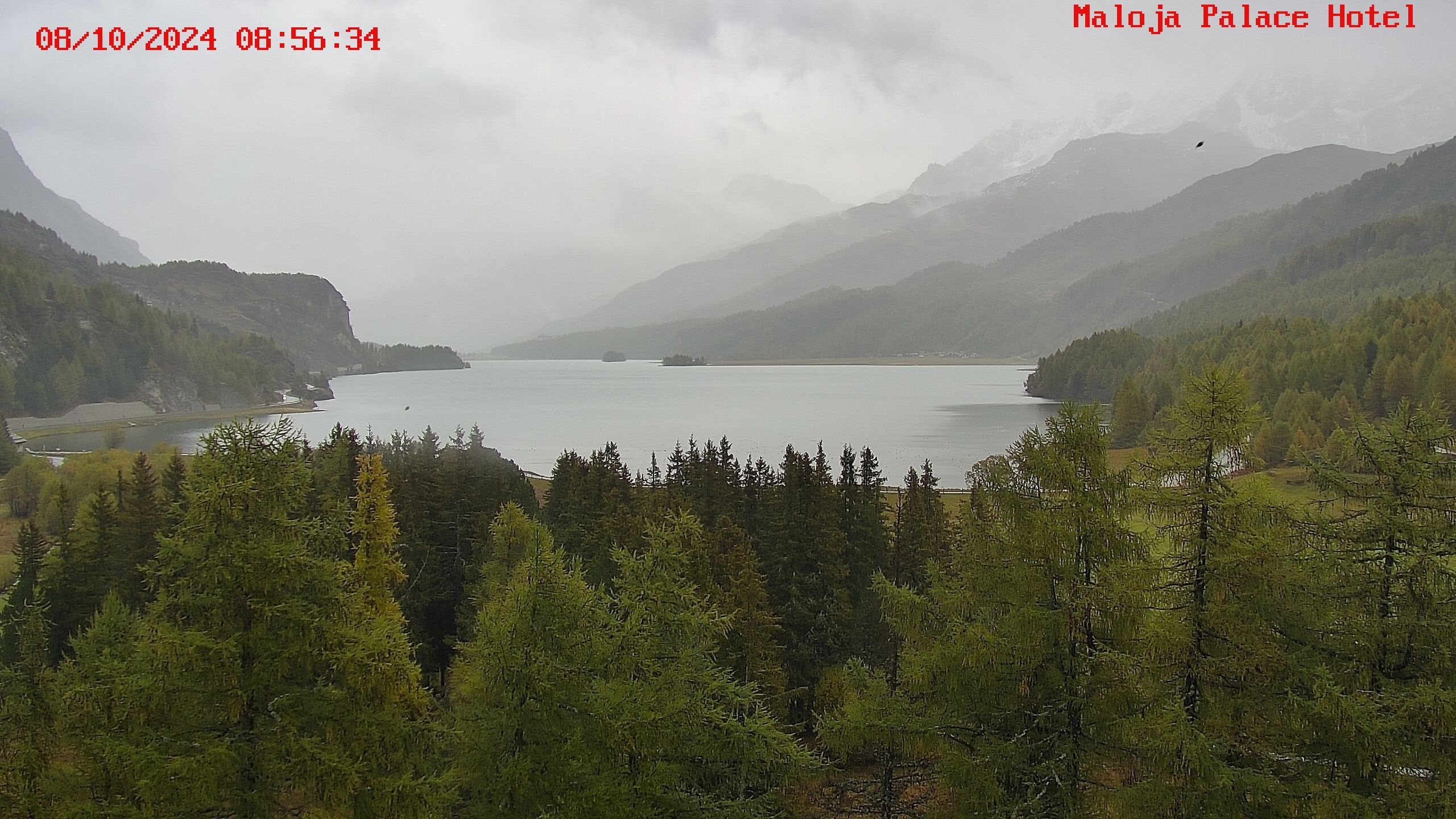 Bregaglia: Maloja webcam