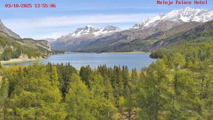 Bregaglia: Maloja webcam