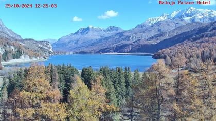 Bregaglia: Maloja webcam