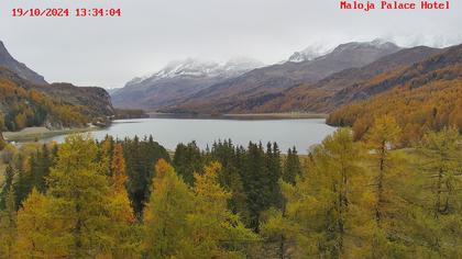 Bregaglia: Maloja webcam