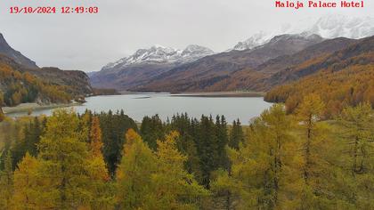 Bregaglia: Maloja webcam