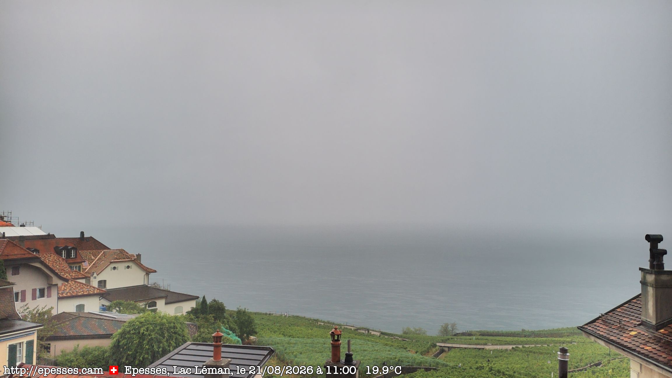Bourg-en-Lavaux › Süden: Lake Geneva