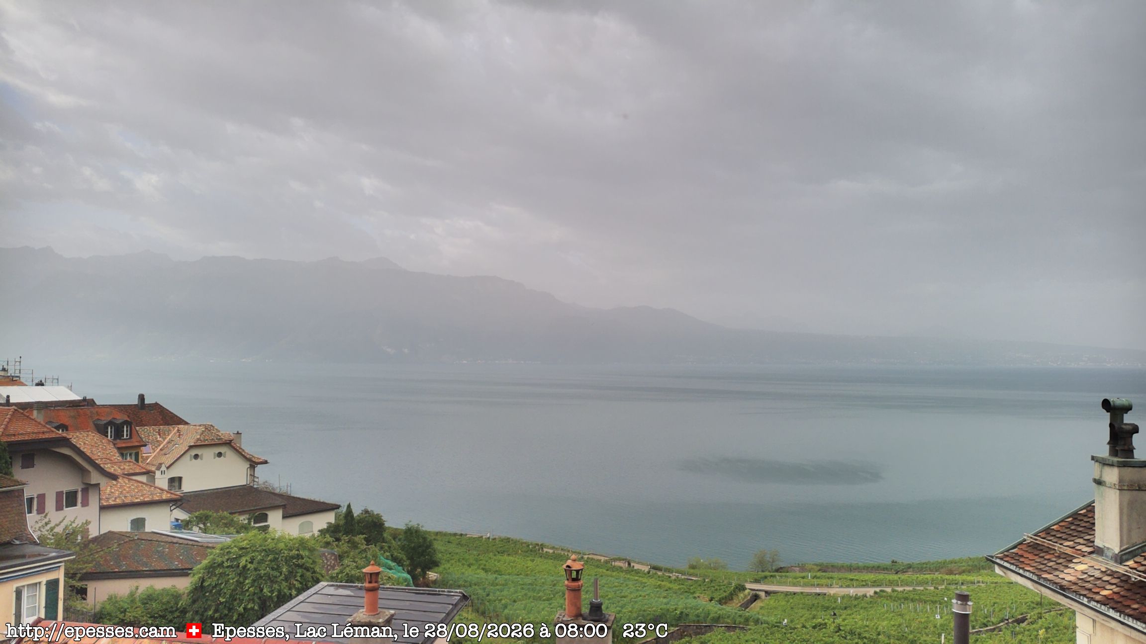 Bourg-en-Lavaux › Süden: Lake Geneva