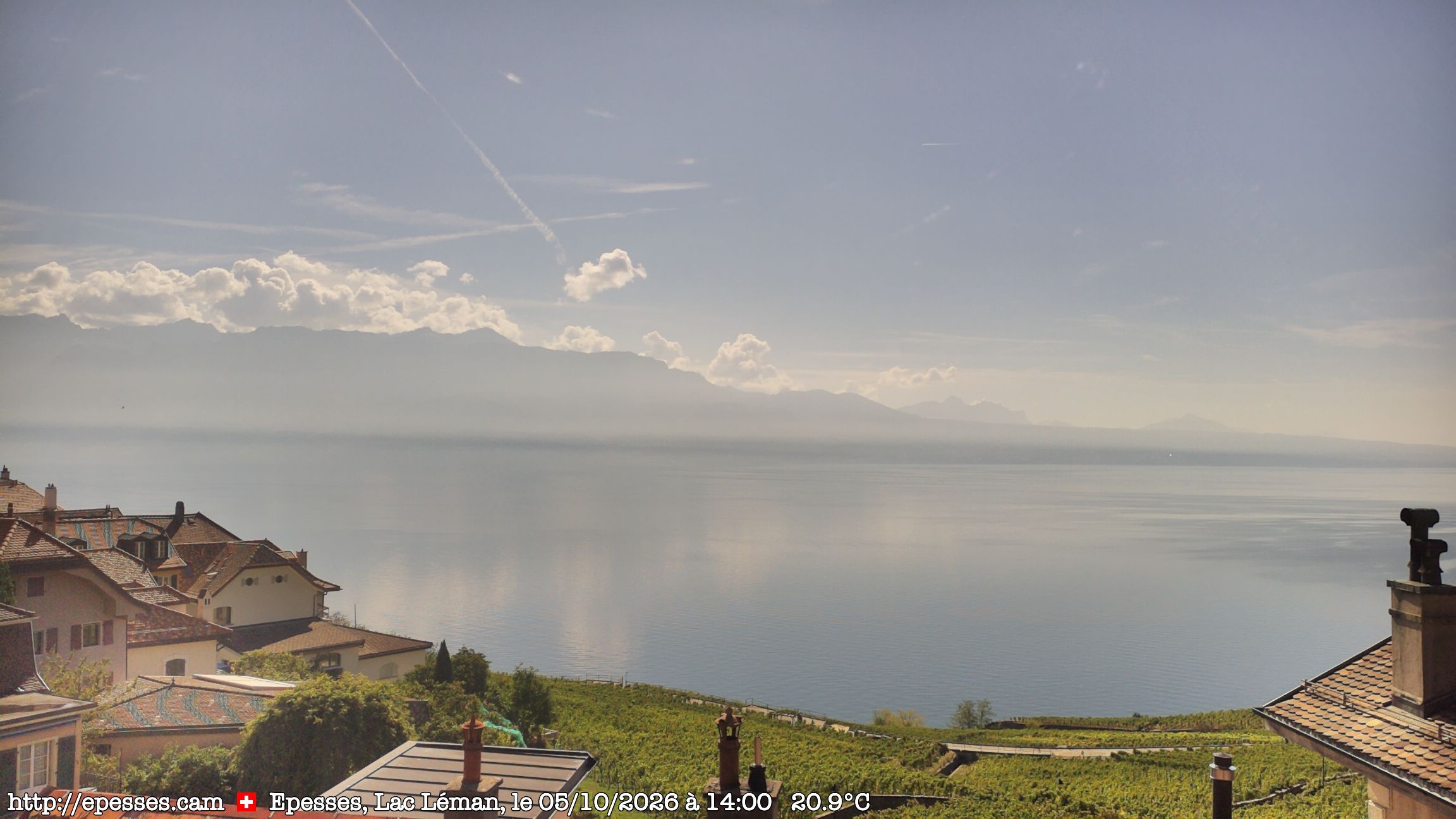 Bourg-en-Lavaux › Süden: Lake Geneva