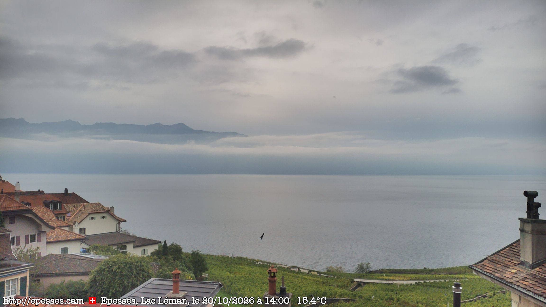 Bourg-en-Lavaux › Süden: Lake Geneva