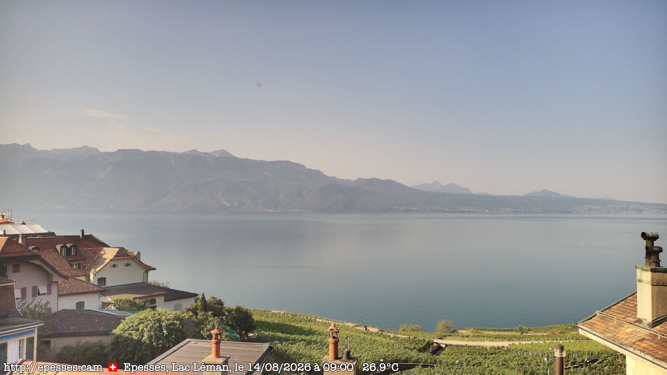 Bourg-en-Lavaux › Süden: Lake Geneva