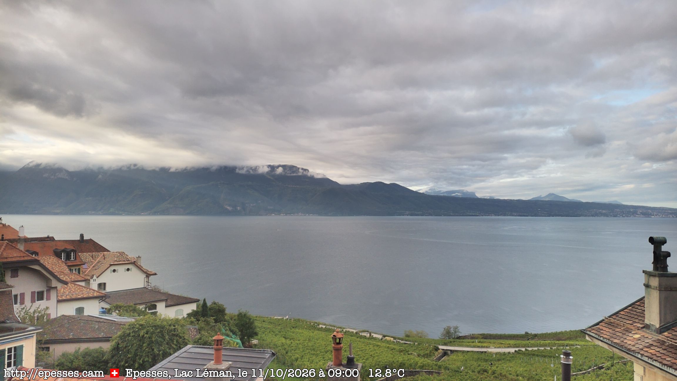 Bourg-en-Lavaux › Süden: Lake Geneva