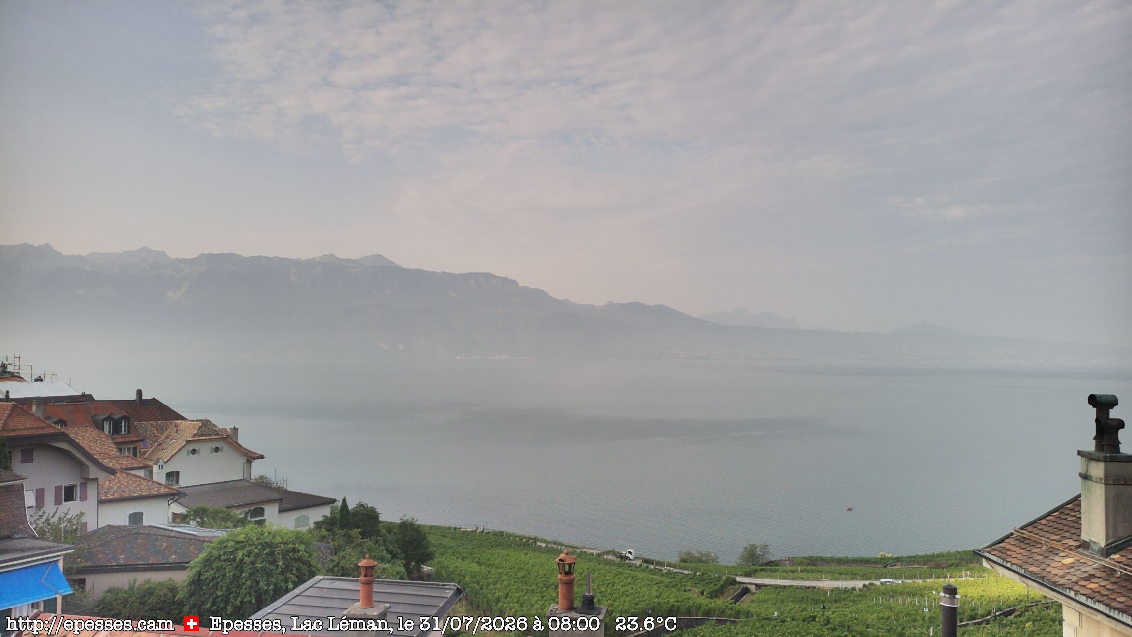 Bourg-en-Lavaux › Süden: Lake Geneva